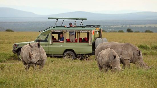 Ol Pejeta Conservancy wildlife scene