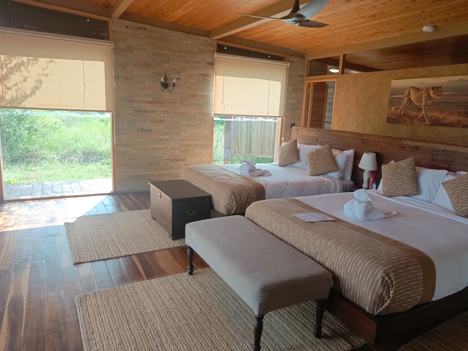 Exotic rooms